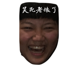 32017654