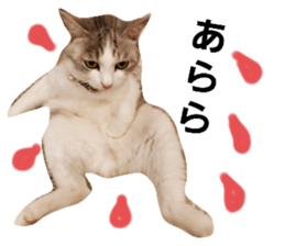 320182498