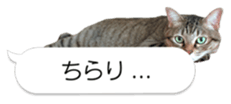32019939