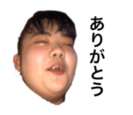 320306208