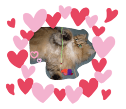 320411087