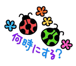 3204187