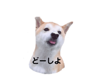 320580406