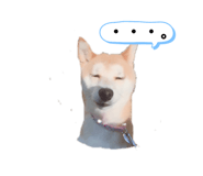 320580407