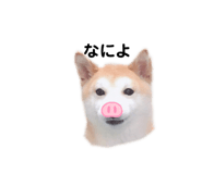 320580408