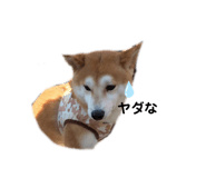320580410