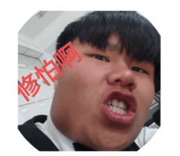 320608335