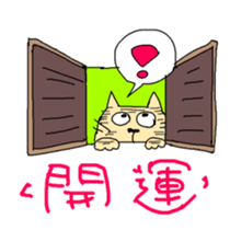 320675205
