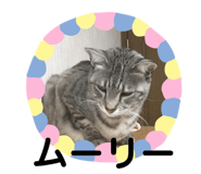 320725461