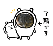 320725466
