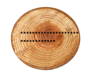 320753635
