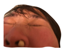 320854688