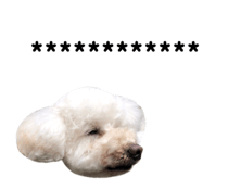 320958257