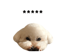 320958258