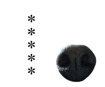 320958260