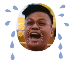 320976804