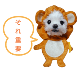321000517