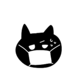 321075816