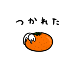 3211286