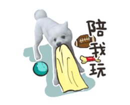 32119195