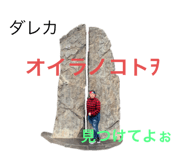 321236001