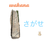 321236007