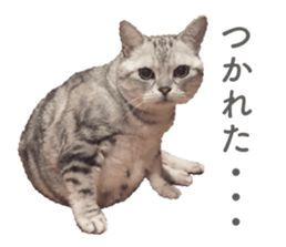 321313508