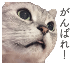 321313510