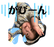 321326862