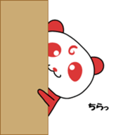 321343896