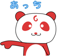 321343904