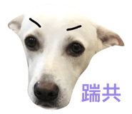 32137146