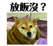 321411084
