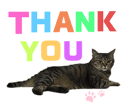321432041