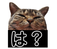 321432052