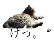 321432057