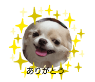 321434838