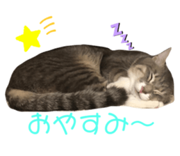 321436056