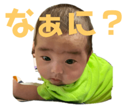 321448032