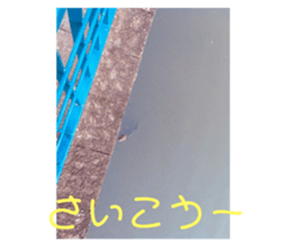 321583141