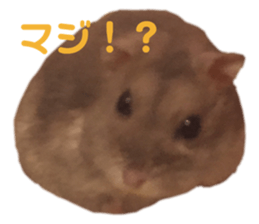 321595700