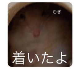 321750437
