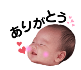 321751448