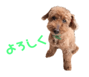 321833015