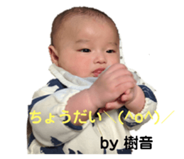 321905041