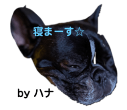 321905042