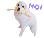 32196278