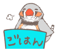 321973411