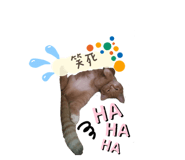 322018178