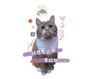 322018180